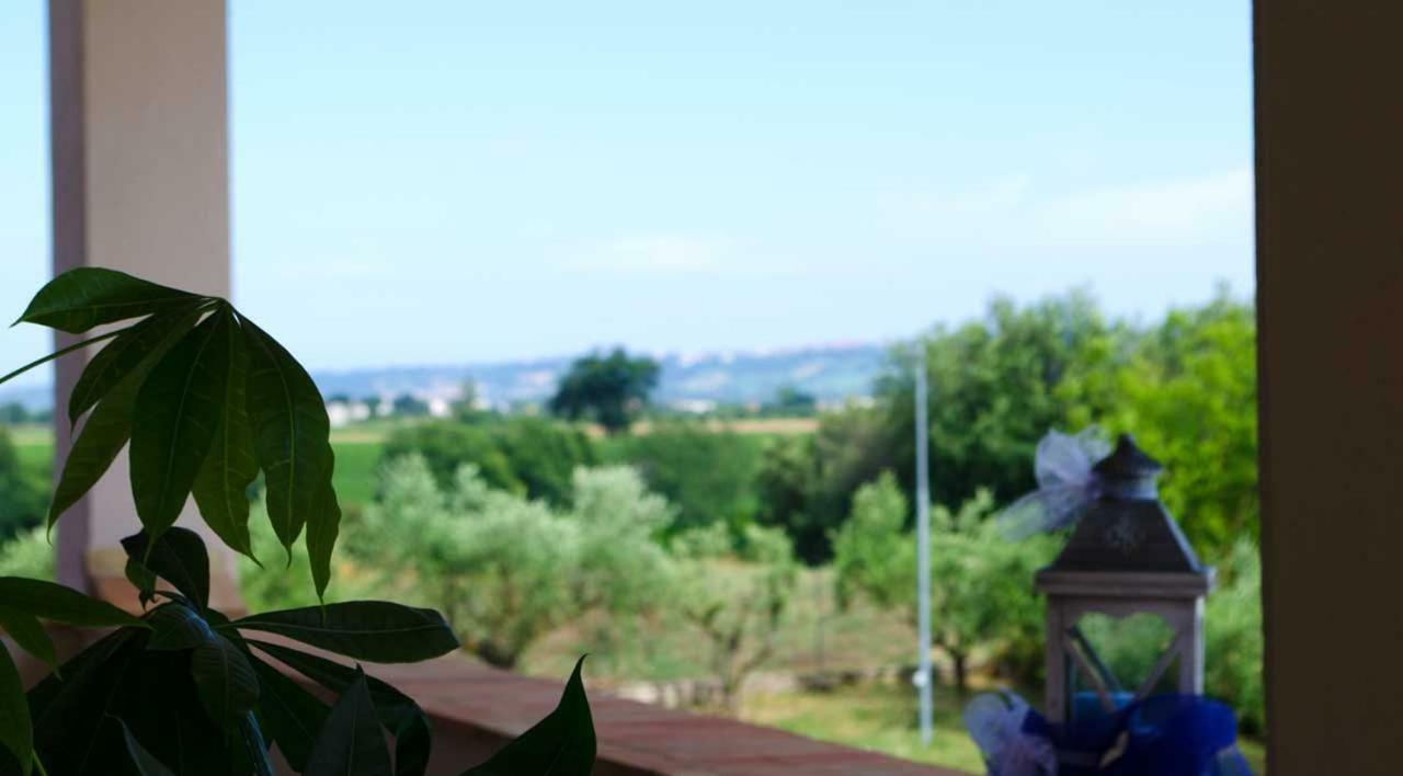 B&B Armonia Montecosaro  Dış mekan fotoğraf