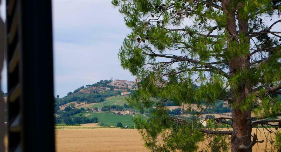 B&B Armonia Montecosaro  Dış mekan fotoğraf